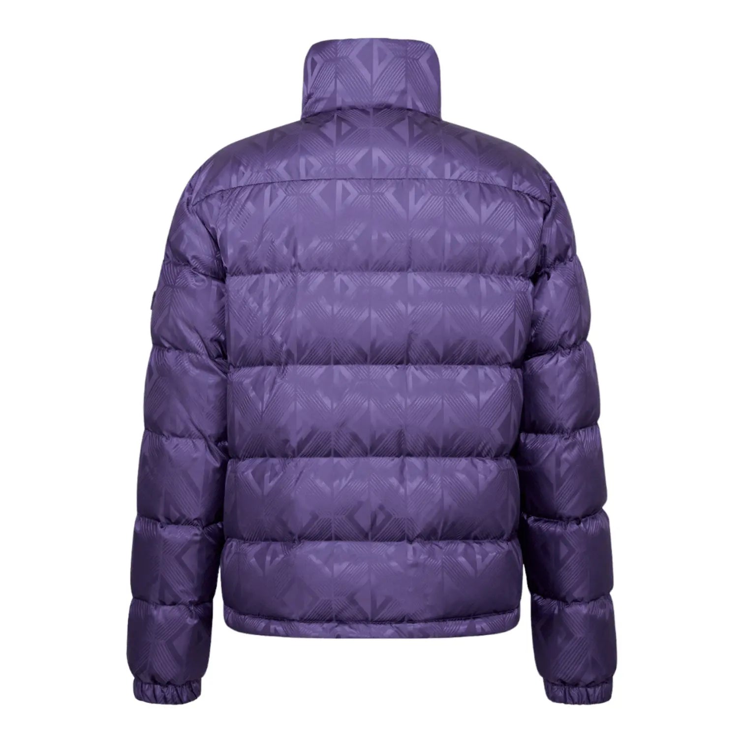 Dior CD Diamond Mirage Ski Capsule Down Jacket Purple